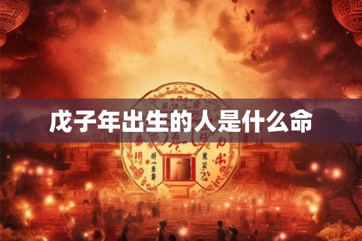 戊子年出生的人是什么命
