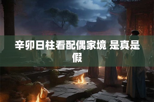 辛卯日柱看配偶家境 是真是假