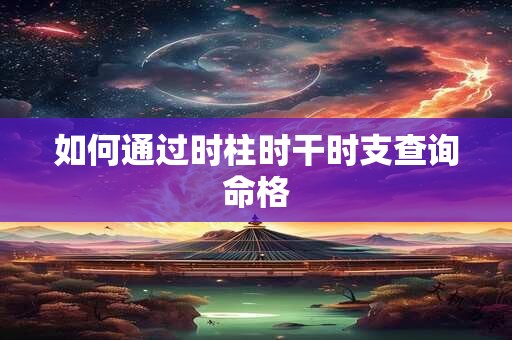 如何通过时柱时干时支查询命格