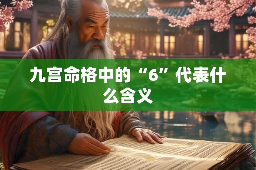 九宫命格中的“6”代表什么含义