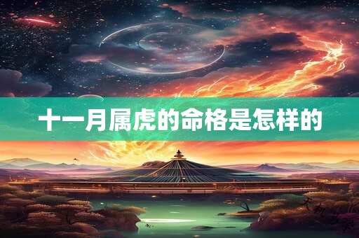 十一月属虎的命格是怎样的