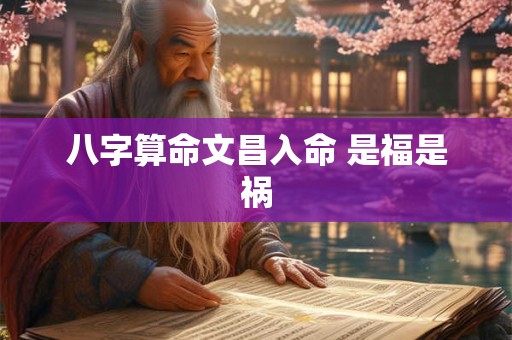 八字算命文昌入命 是福是祸