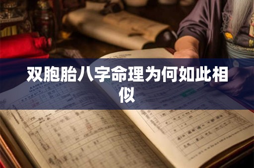 双胞胎八字命理为何如此相似