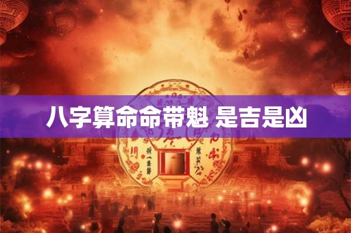 八字算命命带魁 是吉是凶