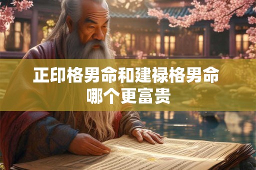 正印格男命和建禄格男命 哪个更富贵
