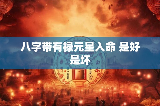 八字带有禄元星入命 是好是坏