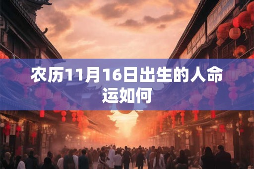 农历11月16日出生的人命运如何