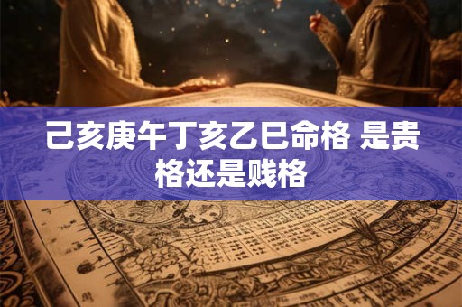 己亥庚午丁亥乙巳命格 是贵格还是贱格