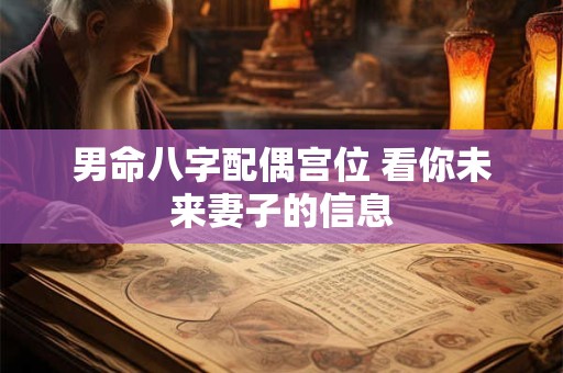 男命八字配偶宫位 看你未来妻子的信息