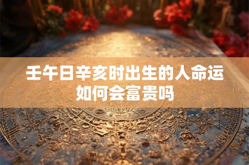 壬午日辛亥时出生的人命运如何会富贵吗