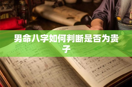 男命八字如何判断是否为贵子