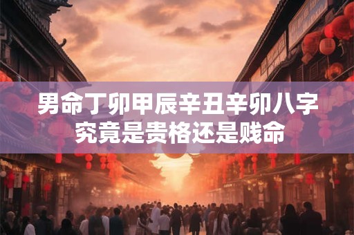 男命丁卯甲辰辛丑辛卯八字 究竟是贵格还是贱命