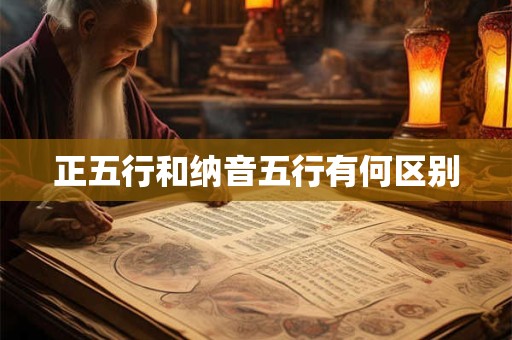正五行和纳音五行有何区别