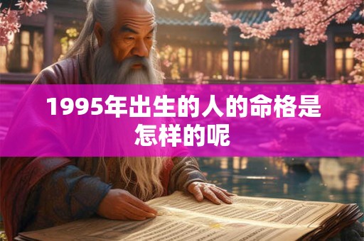 1995年出生的人的命格是怎样的呢