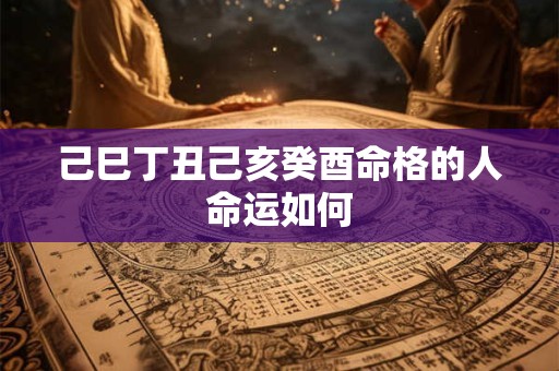 己巳丁丑己亥癸酉命格的人命运如何