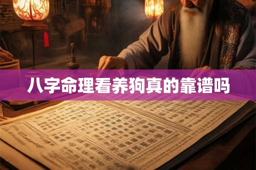 八字命理看养狗真的靠谱吗