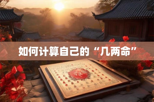 如何计算自己的“几两命”