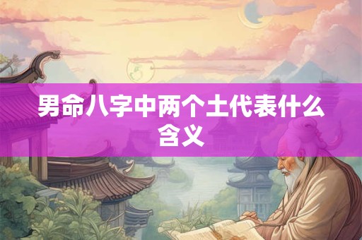 男命八字中两个土代表什么含义