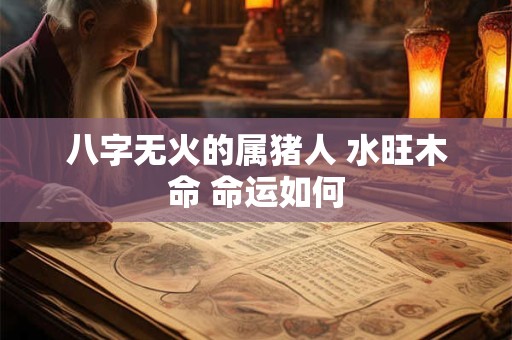 八字无火的属猪人 水旺木命 命运如何