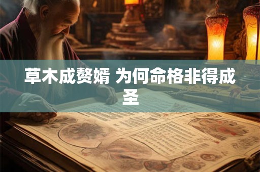 草木成赘婿 为何命格非得成圣