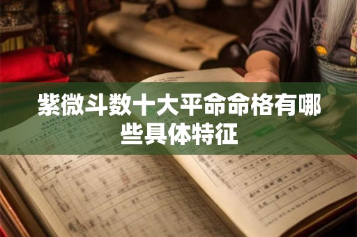 紫微斗数十大平命命格有哪些具体特征