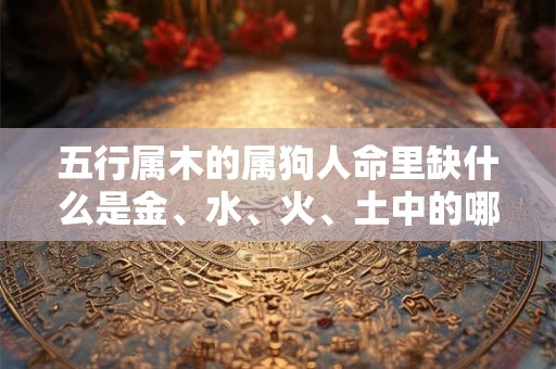 五行属木的属狗人命里缺什么是金、水、火、土中的哪一个