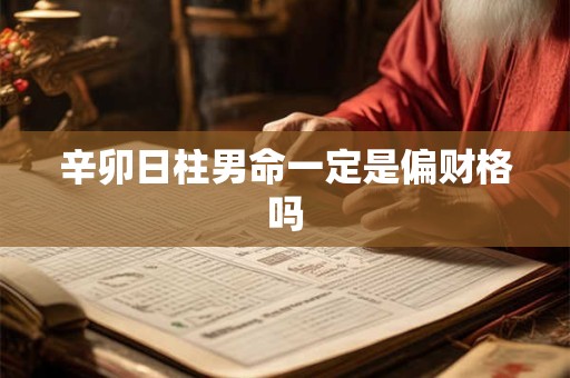 辛卯日柱男命一定是偏财格吗