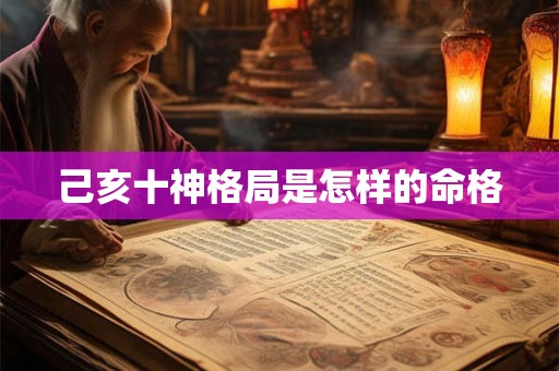 己亥十神格局是怎样的命格