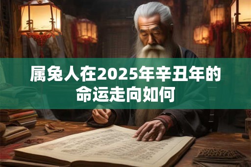 属兔人在2025年辛丑年的命运走向如何