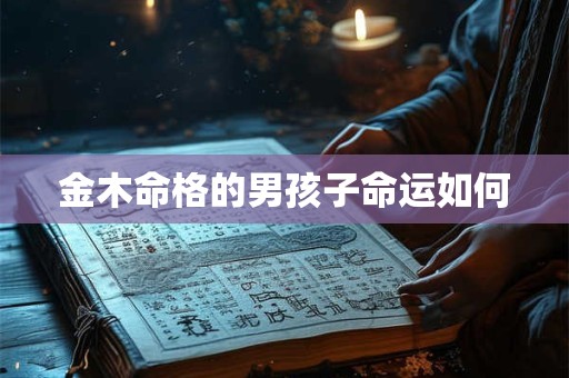 金木命格的男孩子命运如何