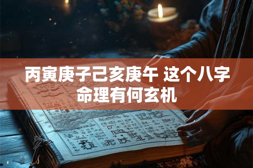 丙寅庚子己亥庚午 这个八字命理有何玄机