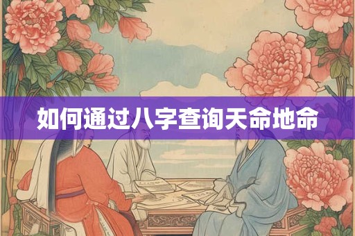 如何通过八字查询天命地命