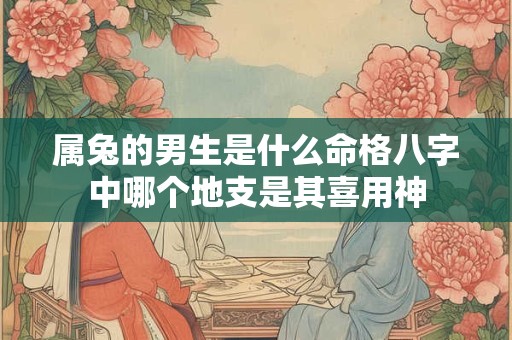 属兔的男生是什么命格八字中哪个地支是其喜用神