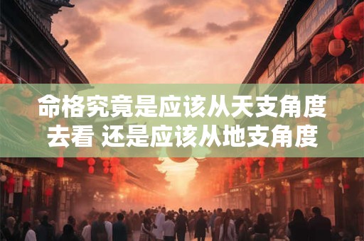 命格究竟是应该从天支角度去看 还是应该从地支角度去看呢