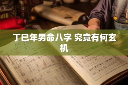 丁巳年男命八字 究竟有何玄机