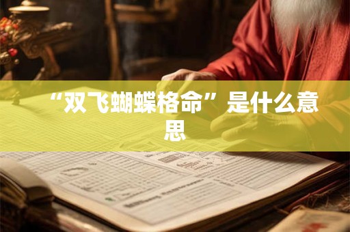 “双飞蝴蝶格命”是什么意思