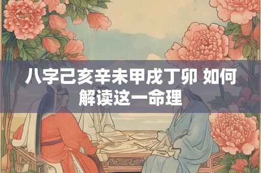 八字己亥辛未甲戌丁卯 如何解读这一命理