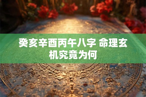 癸亥辛酉丙午八字 命理玄机究竟为何