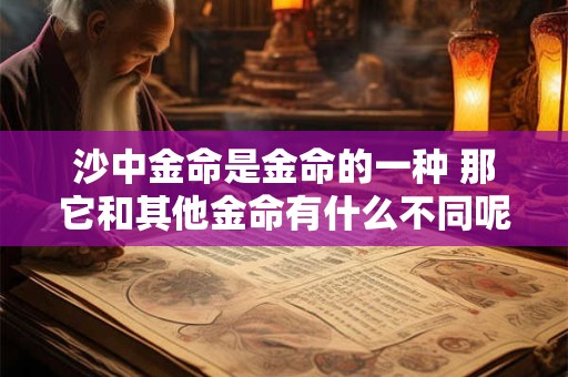 沙中金命是金命的一种 那它和其他金命有什么不同呢 沙中金命是金命的一种 那它和其他金命有什么不同呢