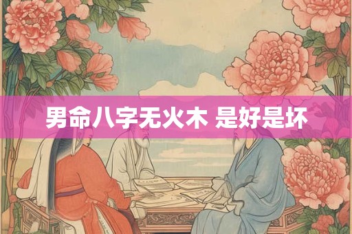 男命八字无火木 是好是坏