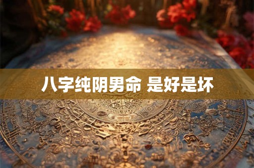 八字纯阴男命 是好是坏