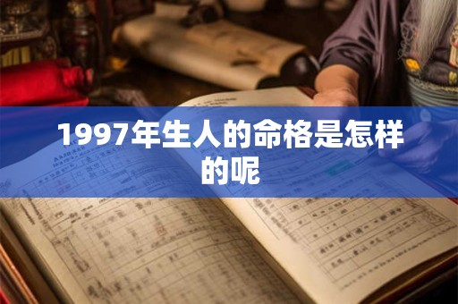 1997年生人的命格是怎样的呢