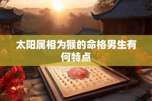 太阳属相为猴的命格男生有何特点