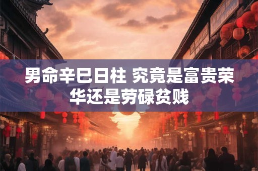 男命辛巳日柱 究竟是富贵荣华还是劳碌贫贱