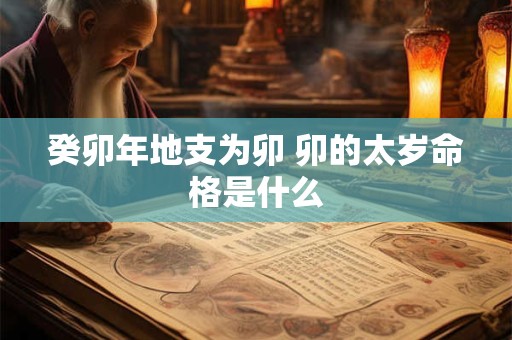 癸卯年地支为卯 卯的太岁命格是什么