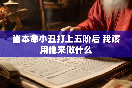 当本命小丑打上五阶后 我该用他来做什么