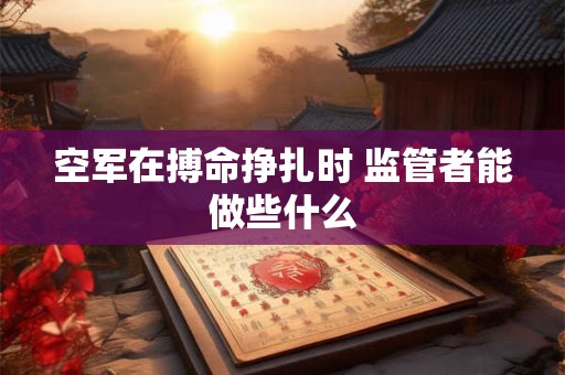 空军在搏命挣扎时 监管者能做些什么