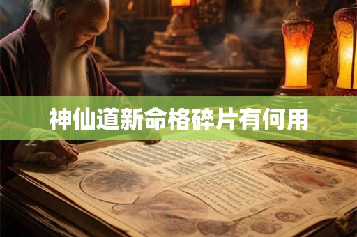 神仙道新命格碎片有何用