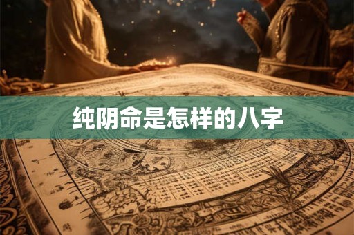 纯阴命是怎样的八字