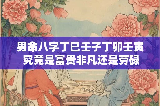 男命八字丁巳壬子丁卯壬寅 究竟是富贵非凡还是劳碌平庸